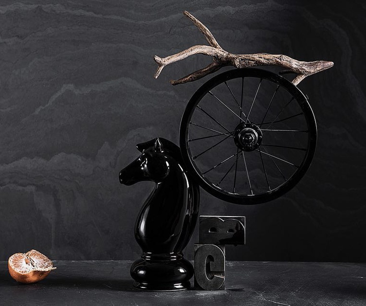 گالری عکس‌های استودیو پاتو کاتز از آرژانتین