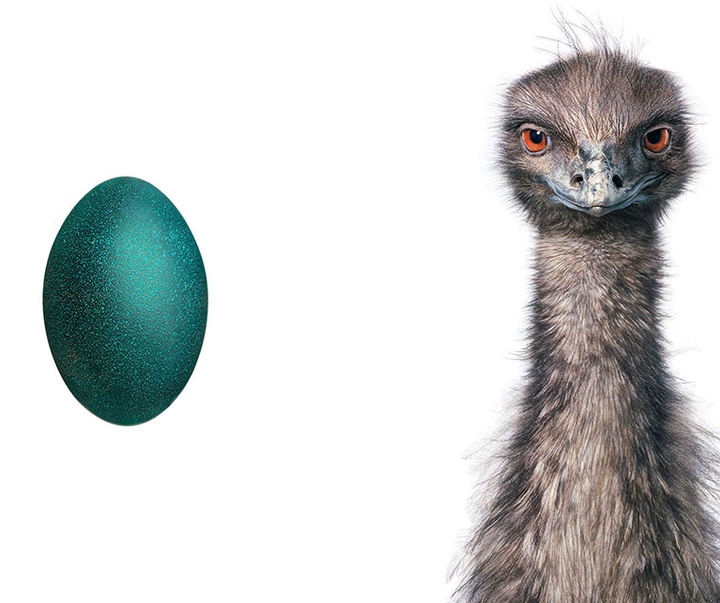 گالری عکس‌های خلاقانه تیم فلچ از بریتانیا