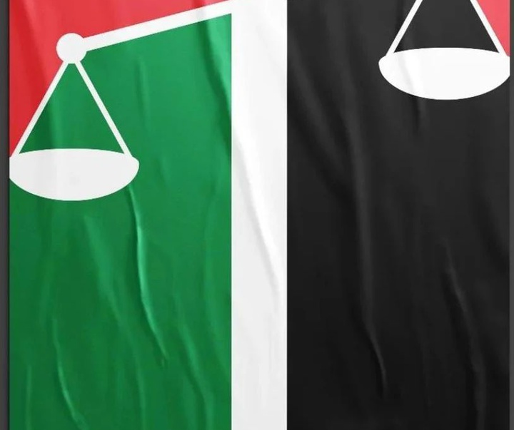گالری پوسترهای امل جمال‌الدین از فلسطین