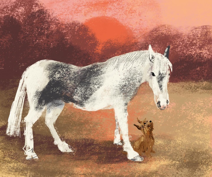 گالری تصویرسازی های جنی بلومفیلد از انگلیس