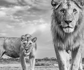 گالری عکس های جیمز لوین از انگلیس