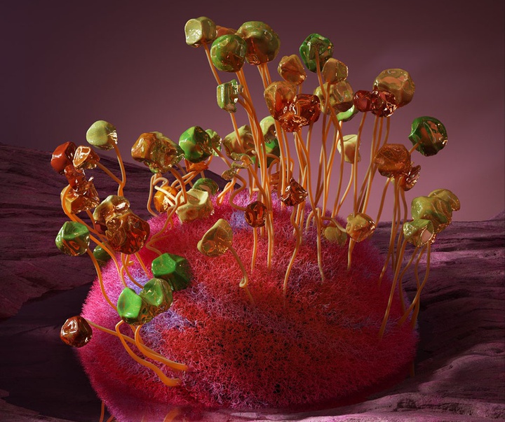 گالری آثار گرافیک سه بعدی خوزه کارلوس از کاستاریکا