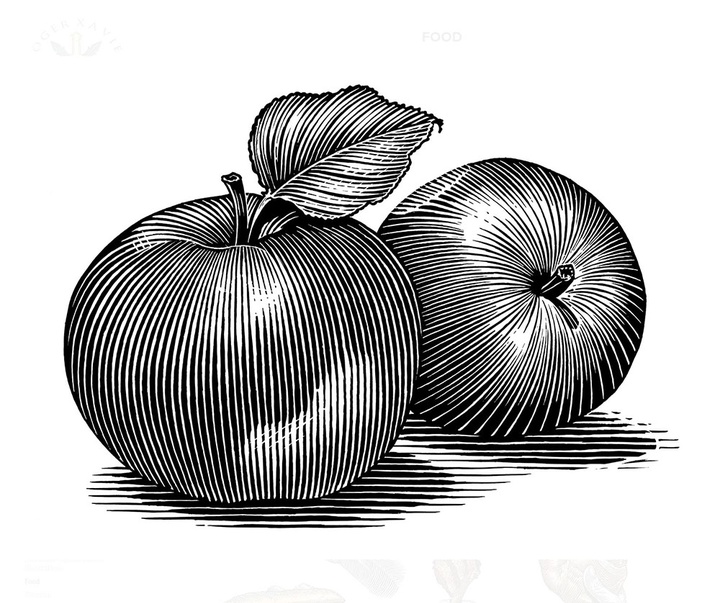 گالری آثار تصویرسازی راجر خاویر از آمریکا