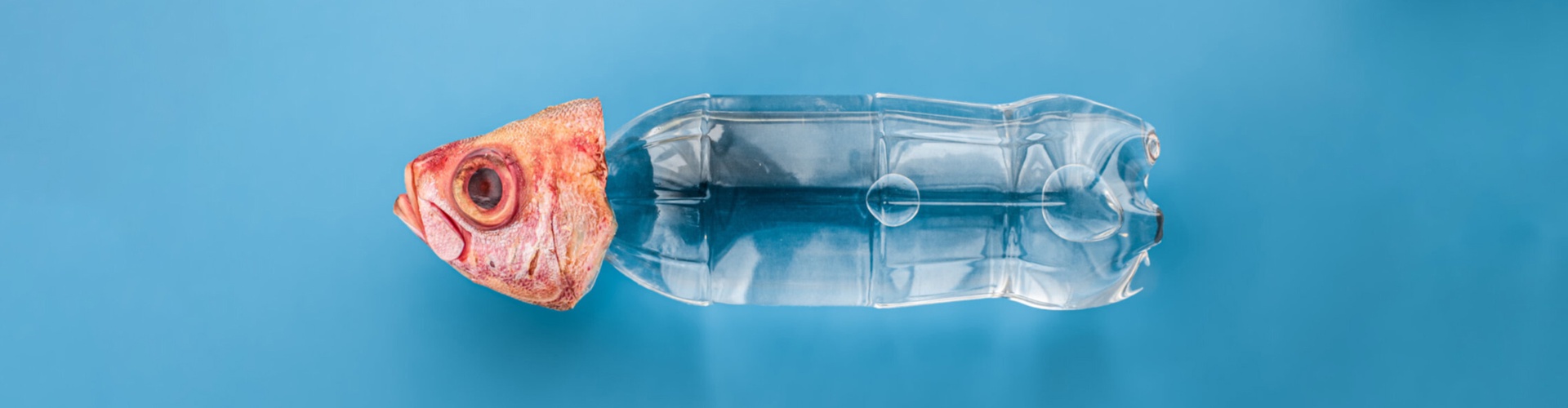 گالری عکسهای وولف سیلوری از اتریش