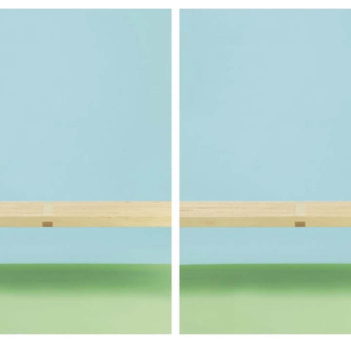 گالری عکس‌های ویلیام وگمن از آمریکا