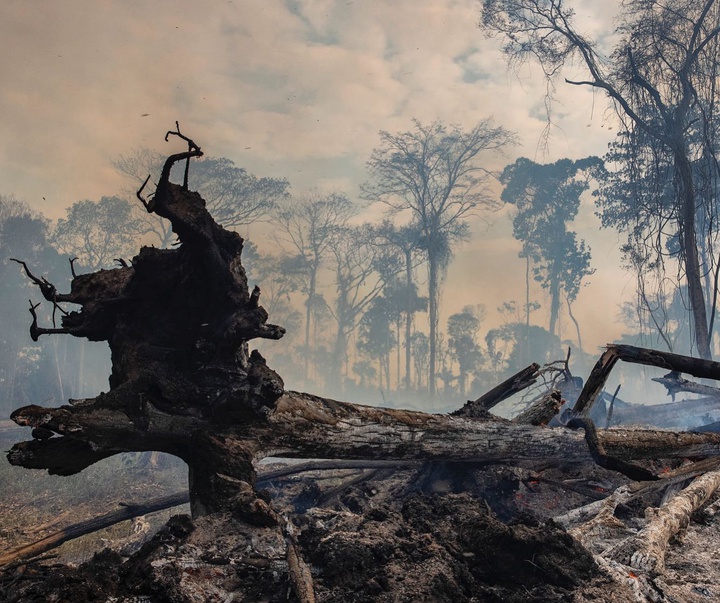 گالری آثار عکاسی ویکتور موریاما از برزیل