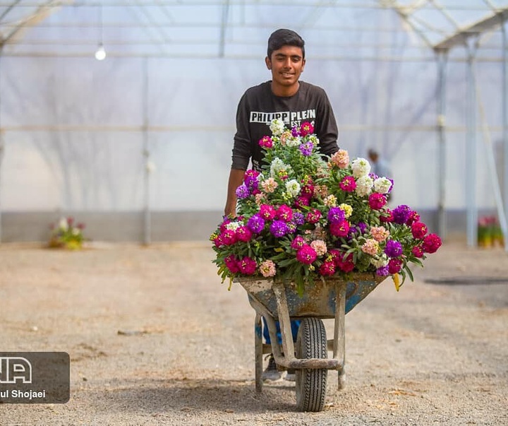 گالری عکس های رسول شجاعی از ایران