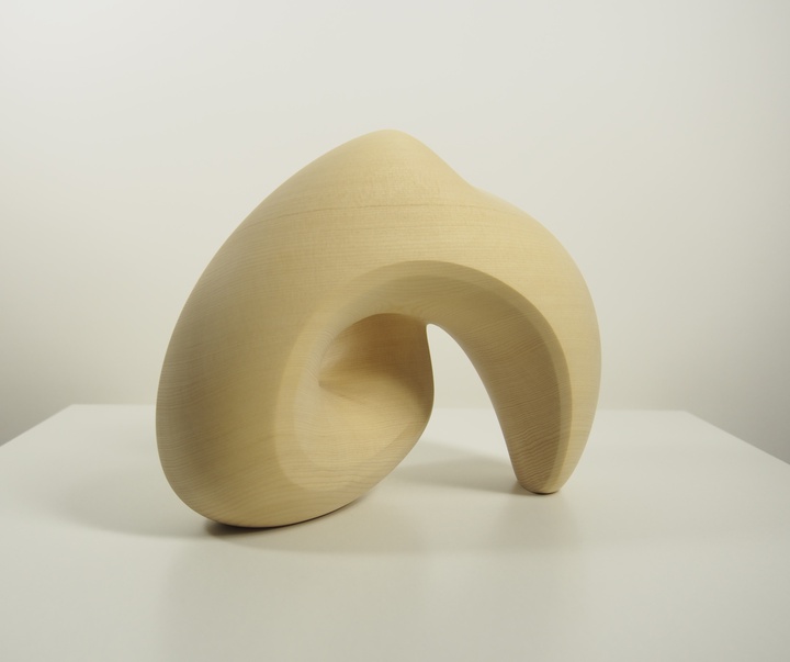 گالری آثار حجم مایک ساساکی از کانادا