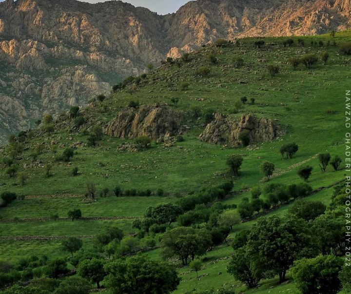 گالری آثار عکس نوزاد قادری از ایران