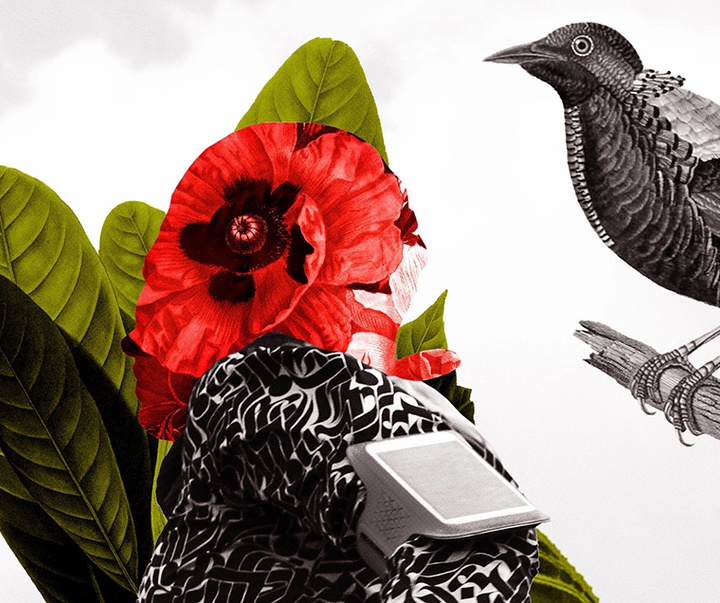 گالری تصویرسازی‌های گیرمو فلورس پاچکو از مکزیک