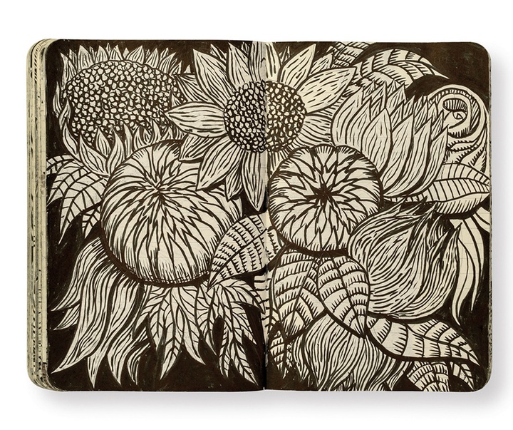 گالری تصویرسازی های پپ کاریو از اسپانیا