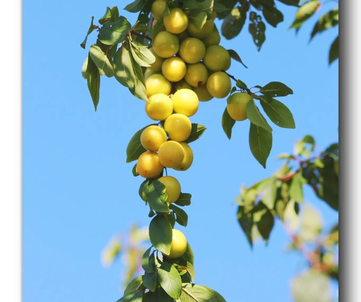 گالری آثار عکاسی حسین مهدی از بحرین