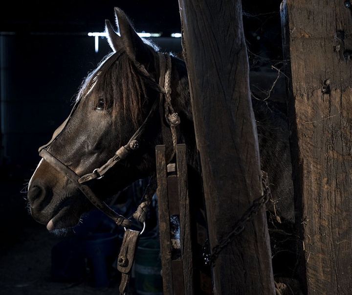 گالری منتخبی از آثار عکاسی هنرمندان آرژانیتینی