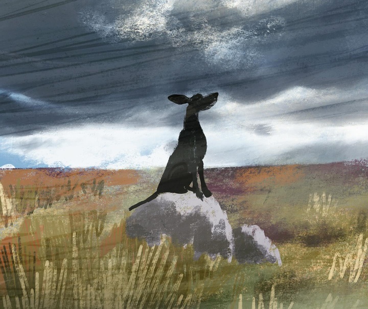 جنی بلومفیلد