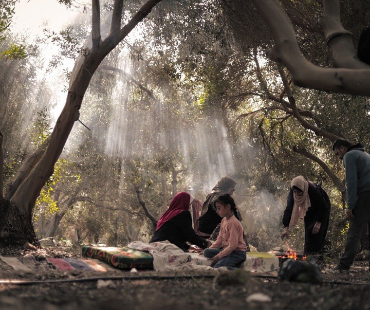 گالری عکس‌های فاطمه حسونا از فلسطین