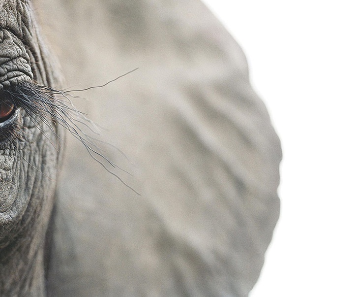 گالری عکس‌های خلاقانه تیم فلچ از بریتانیا