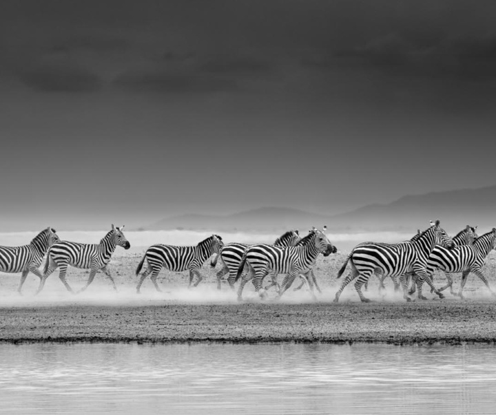 گالری عکس های جیمز لوین از انگلیس