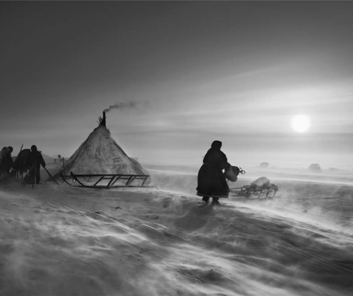 گالری آثار عکاسی سباستین سالگادو از برزیل