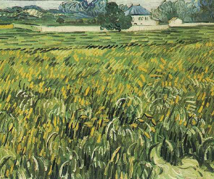 van gogh