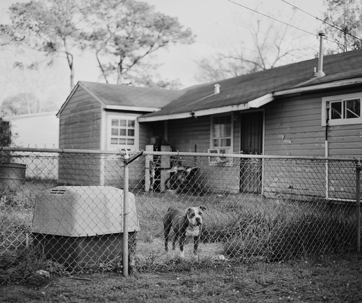 گالری آثار عکاسی رحیم فورچون از آمریکا