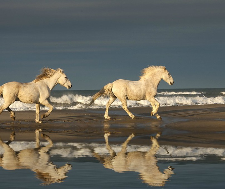 گالری آثار عکاسی جیم زاکرمن از برزیل - قسمت دوم