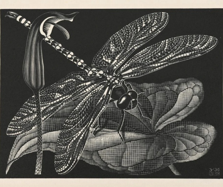 گالری آثار گرافیک موریس کورنلیس اشر از هلند