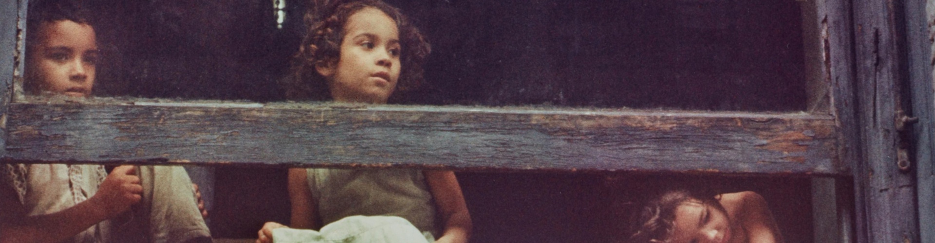 گالری عکسهای هلن لویت از آمریکا