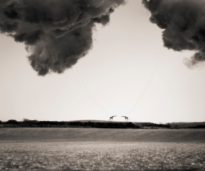 گالری آثار عکاسی اوریول یولانچ از اسپانیا