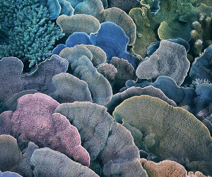 گالری عکس‌های خلاقانه تیم فلچ از بریتانیا