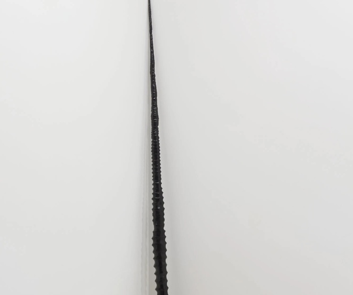 گالری آثار حجم آلیچجا کواده از لهستان