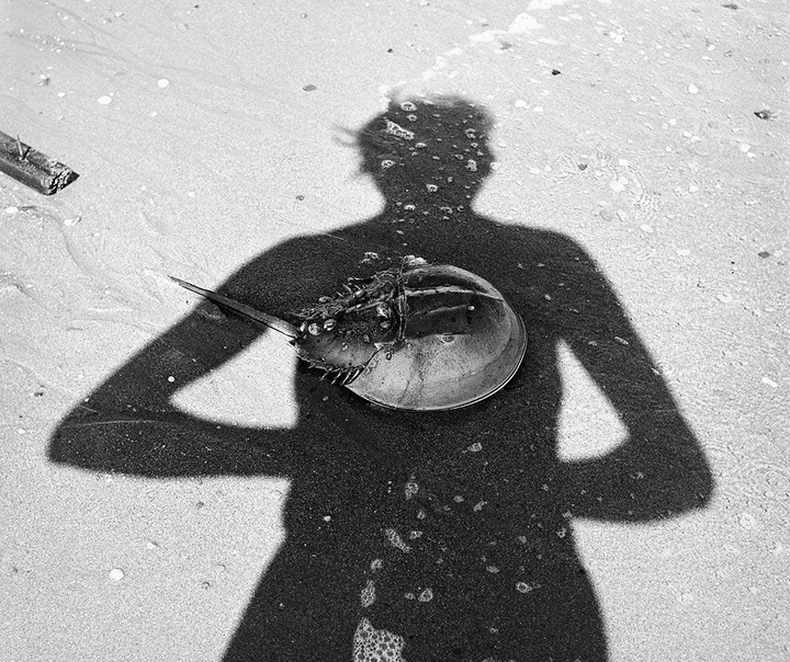 vivian maier