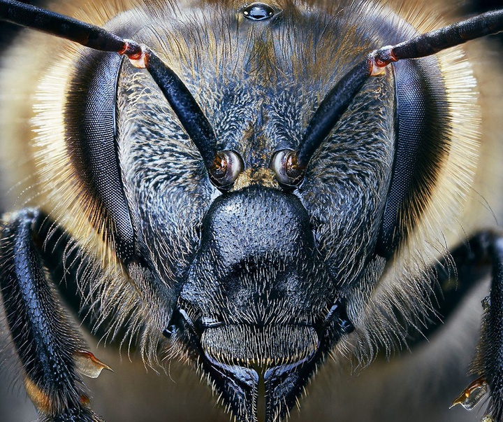 گالری عکس‌های خلاقانه تیم فلچ از بریتانیا