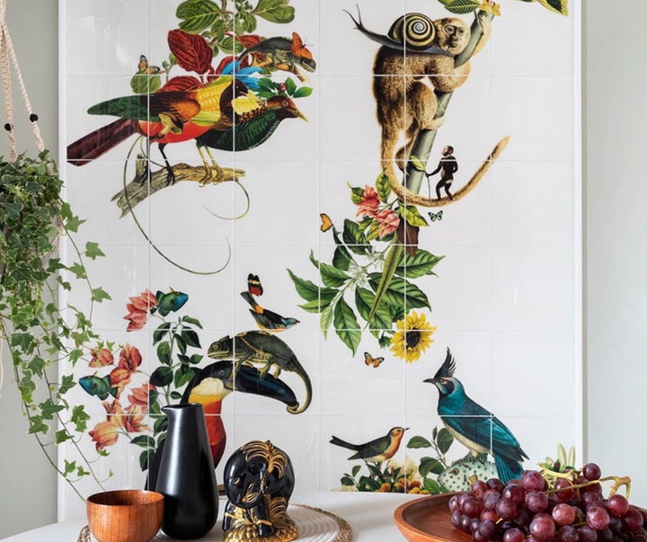 گالری تصویرسازی‌های گیرمو فلورس پاچکو از مکزیک