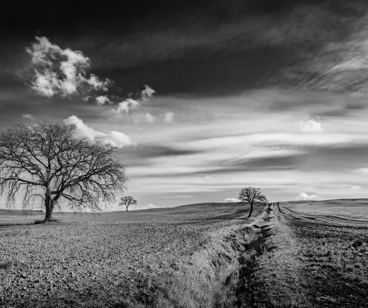 گالری آثار عکاسی جیامپائولو آنتونی از ایتالیا