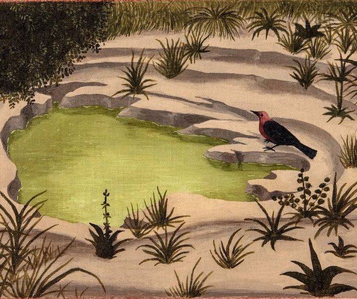 مکس گومز کانله