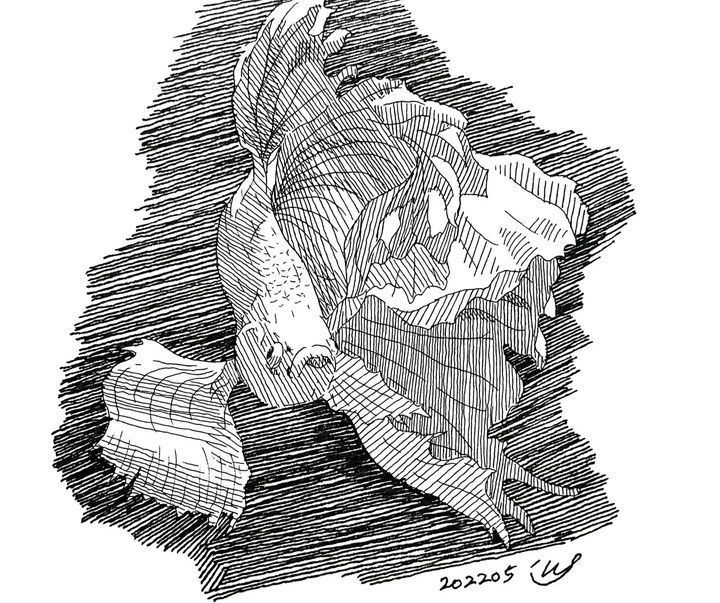 گالری آثار طراحی جونگ ووک جونگ از کره جنوبی