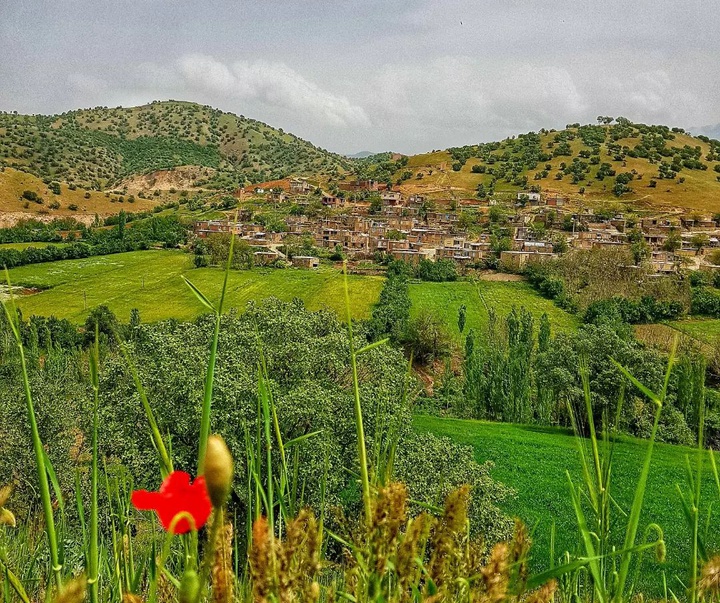 گالری آثار عکس مریم پیروزفر از ایران