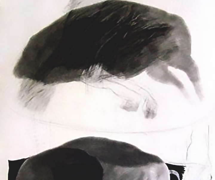 گالری تصویرسازی‌های بابک امجد