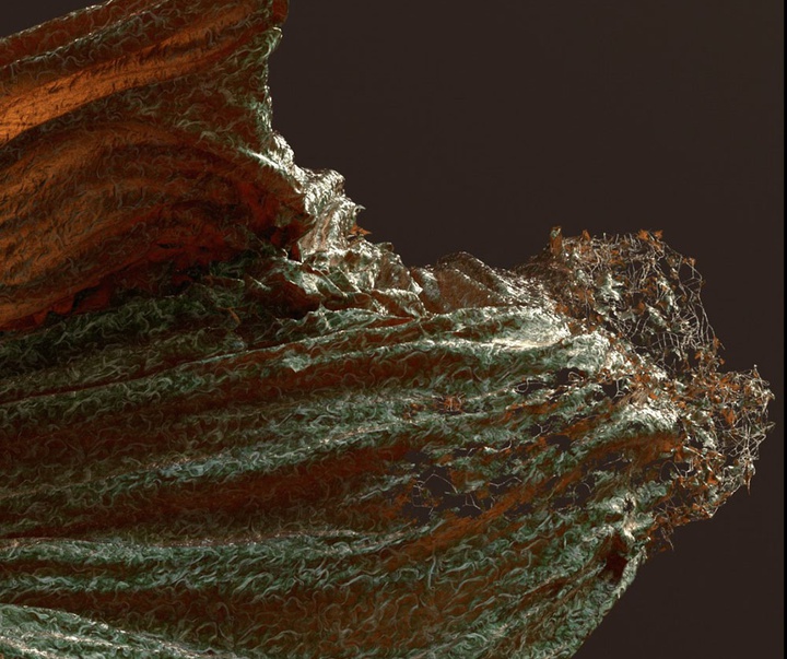 گالری آثار گرافیک سه بعدی خوزه کارلوس از کاستاریکا