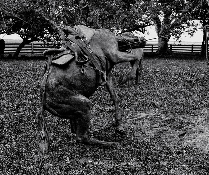 گالری آثار عکاسی خوانیتا اسکوبار از کلمبیا