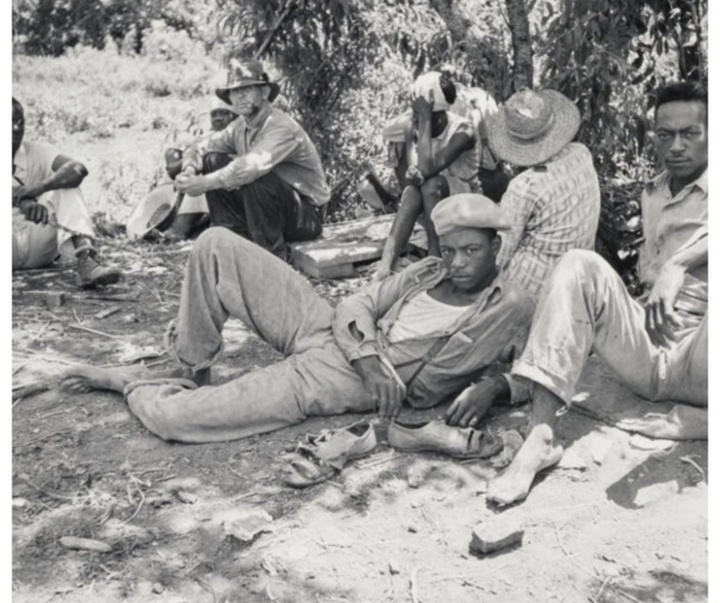 گالری عکس‌های دوروتیا لانگ از آمریکا