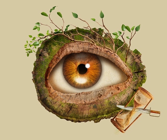 گالری تصویرسازی‌های گیرمو فلورس پاچکو از مکزیک