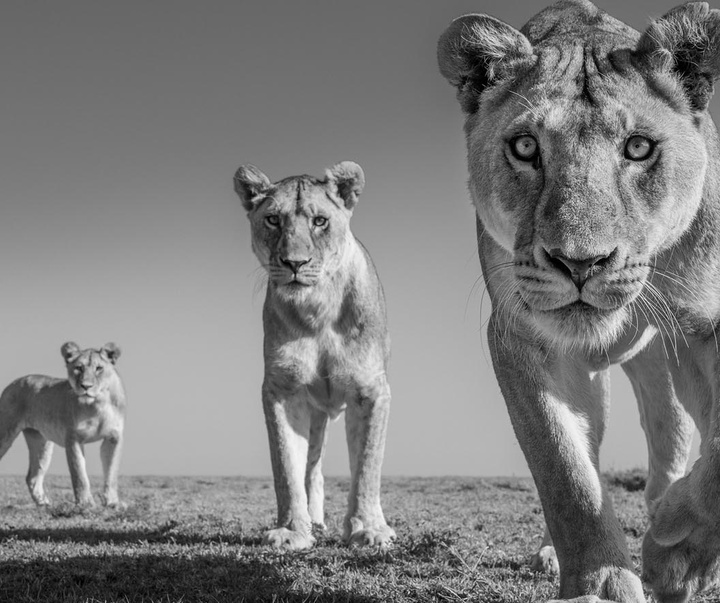 گالری عکس های جیمز لوین از انگلیس