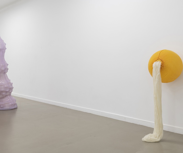 گالری آثر چیدمان و حجم اوا فابرگاس از اسپانیا