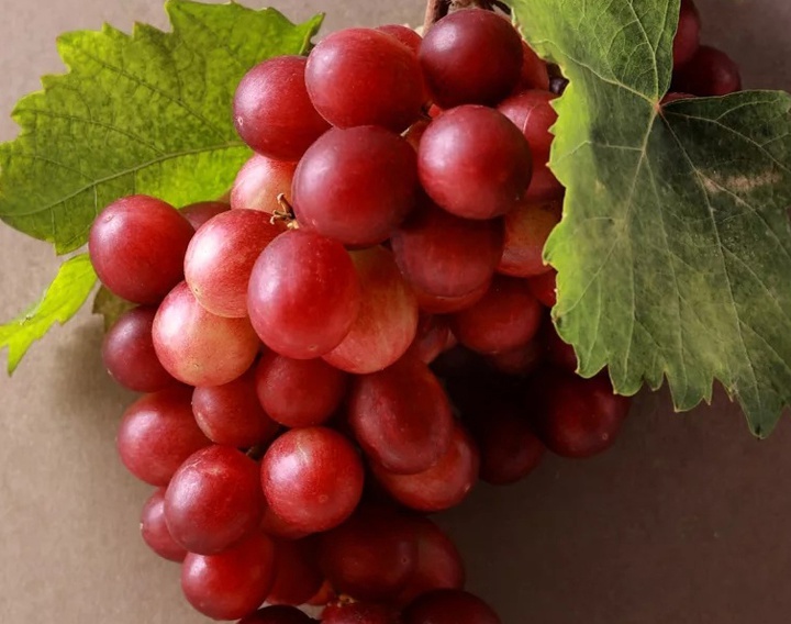 گالری عکس های خوزه ملادو از اسپانیا