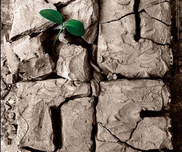 گالری پوسترهای ژو کای از چین