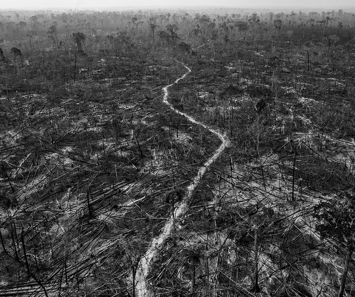 گالری آثار عکاسی لالو د آلمیدا از برزیل - قسمت دوم