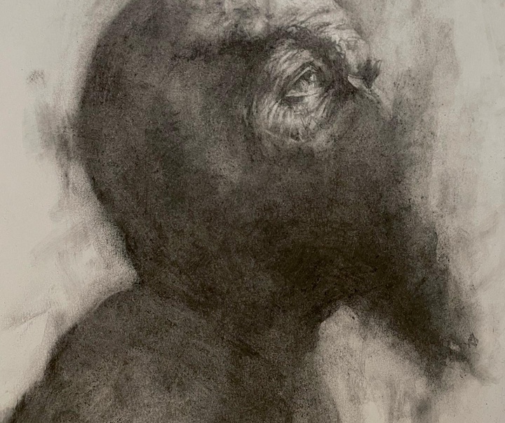 گالری آثار پرتره فرناندا سرون از شیلی