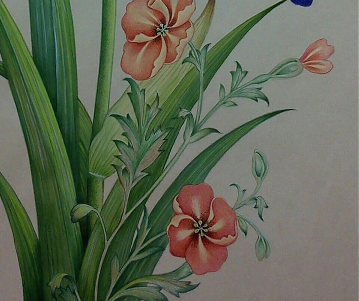 گالری آثار نگارگری شیدا گرایلی از ایران