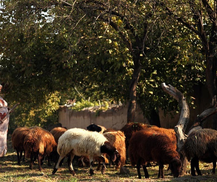 گالری عکس‌های هادی فائزی از ایران